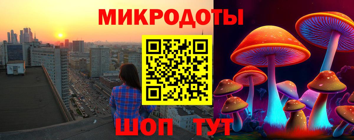 Галлюциногенные грибы Psilocybine cubensis Юрга